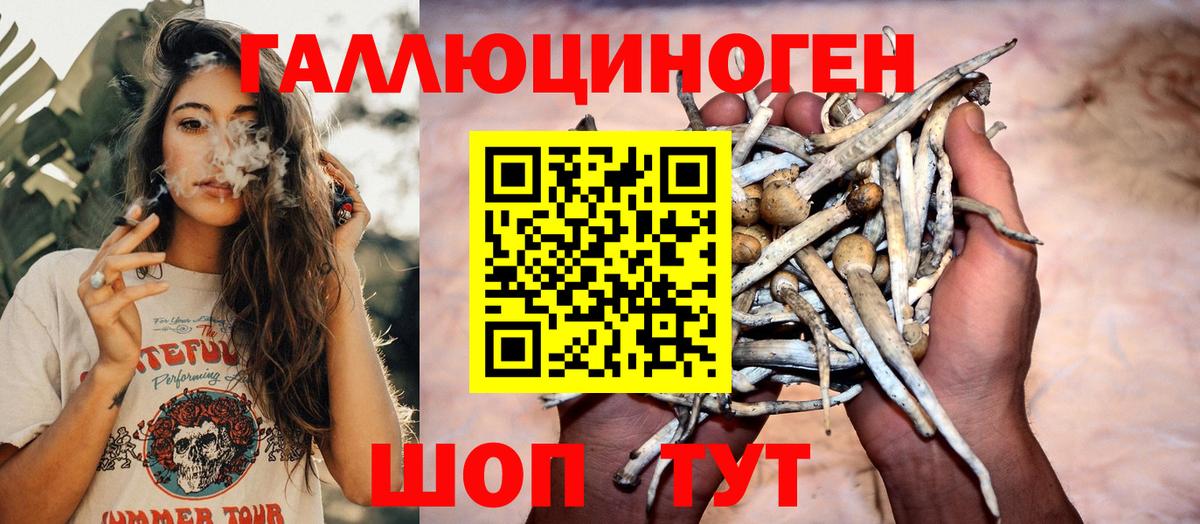 купить закладку  Галлюциногенные грибы Psilocybe  Вход с VPN  Фрязино 